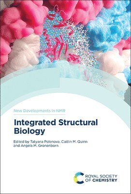 bokomslag Integrated Structural Biology