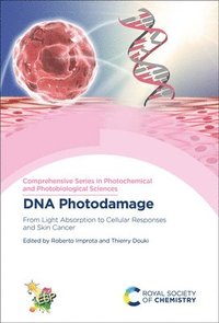 bokomslag DNA Photodamage