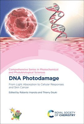 DNA Photodamage 1