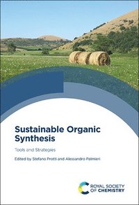 bokomslag Sustainable Organic Synthesis