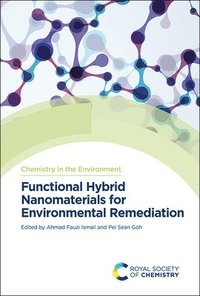 bokomslag Functional Hybrid Nanomaterials for Environmental Remediation
