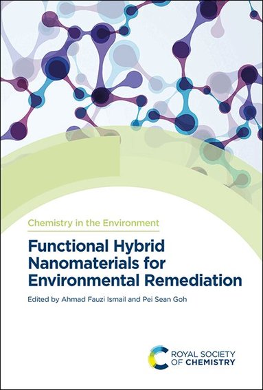 Ahmad Fauzi Ismail, Pei Sean Goh - Functional Hybrid Nanomaterials for Environmental Remediation, Inbunden