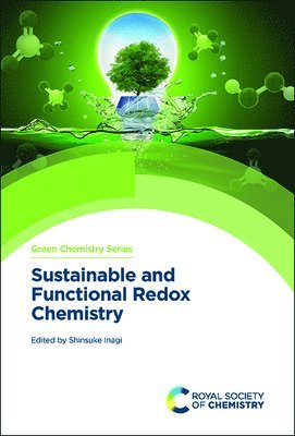 Shinsuke Inagi, Japan) Inagi, Shinsuke (Tokyo Insititute of Technology - Sustainable and Functional Redox Chemistry, Inbunden