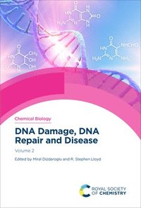 bokomslag DNA Damage, DNA Repair and Disease