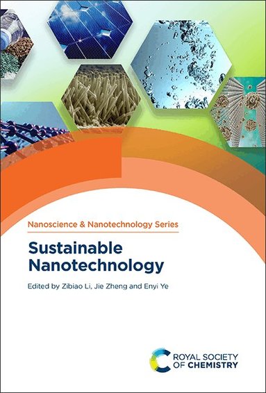 Zibiao Li, Jie Zheng, Enyi Ye - Sustainable Nanotechnology, Inbunden