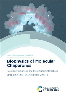 bokomslag Biophysics of Molecular Chaperones