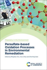 bokomslag Persulfate-based Oxidation Processes in Environmental Remediation