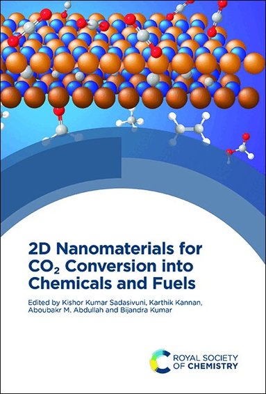 Kishor Kumar Sadasivuni, Karthik Kannan, Aboubakr M Abdullah, Bijandra Kumar - 2D Nanomaterials for CO2 Conversion into Chemicals and Fuels, Inbunden