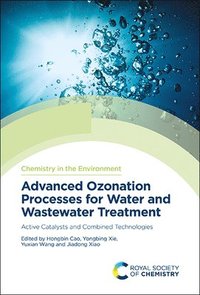 bokomslag Advanced Ozonation Processes for Water and Wastewater Treatment