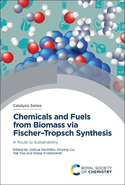 Joshua Gorimbo, Xinying Liu, Yali Yao, Diane Hildebrandt - Chemicals and Fuels from Biomass via Fischer–Tropsch Synthesis, Inbunden