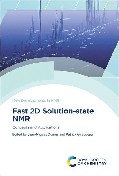 bokomslag Fast 2D Solution-state NMR