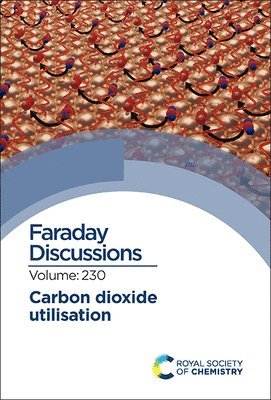 Carbon Dioxide Utilisation 1