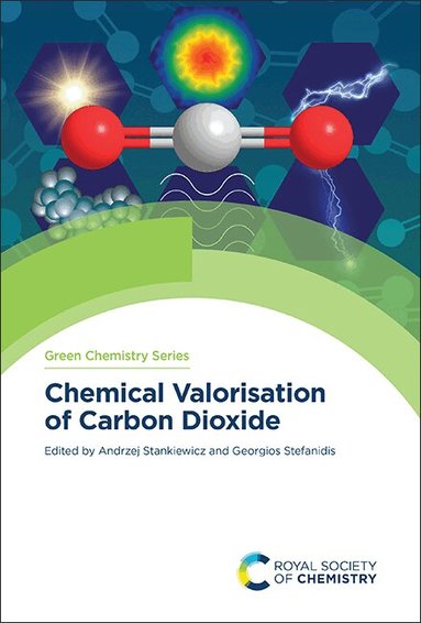 Georgios Stefanidis, Andrzej Stankiewicz - Chemical Valorisation of Carbon Dioxide, Inbunden
