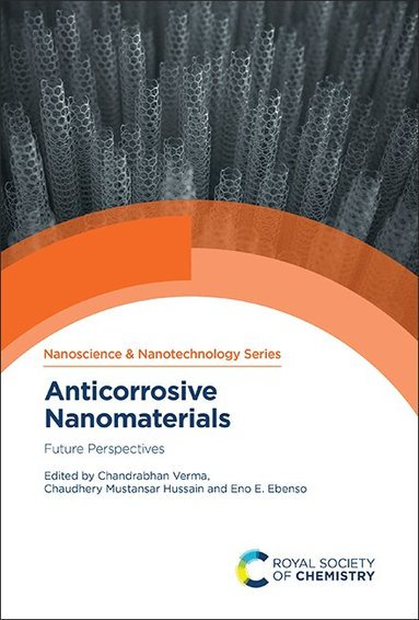 Chandrabhan Verma, Chaudhery Mustansar Hussain, Eno E Ebenso - Anticorrosive Nanomaterials, Inbunden