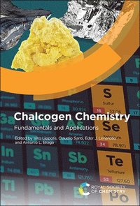bokomslag Chalcogen Chemistry