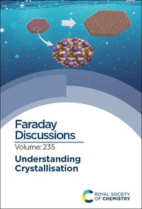 bokomslag Understanding Crystallisation