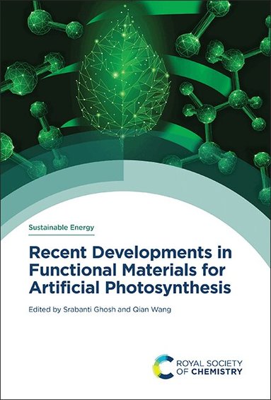 Srabanti Ghosh, Qian Wang - Recent Developments in Functional Materials for Artificial Photosynthesis, Inbunden