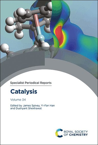 James J Spivey, Yi-Fan Han, Dushyant Shekhawat - Catalysis, Inbunden