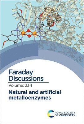 bokomslag Natural and Artificial Metalloenzymes