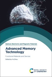 bokomslag Advanced Memory Technology
