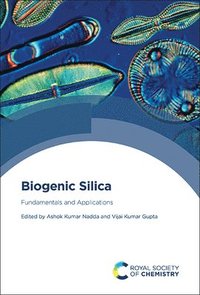 bokomslag Biogenic Silica