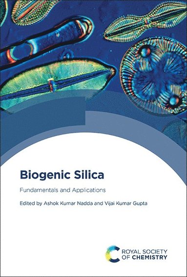 bokomslag Biogenic Silica