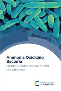 bokomslag Ammonia Oxidizing Bacteria