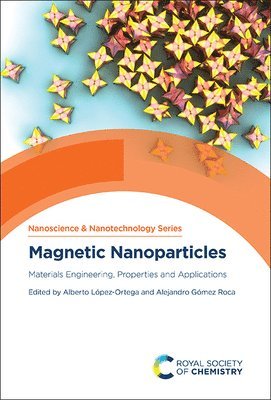 bokomslag Magnetic Nanoparticles