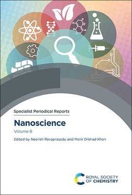 Neerish Revaprasadu, Malik Dilshad Khan - Nanoscience, Inbunden