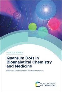 bokomslag Quantum Dots in Bioanalytical Chemistry and Medicine