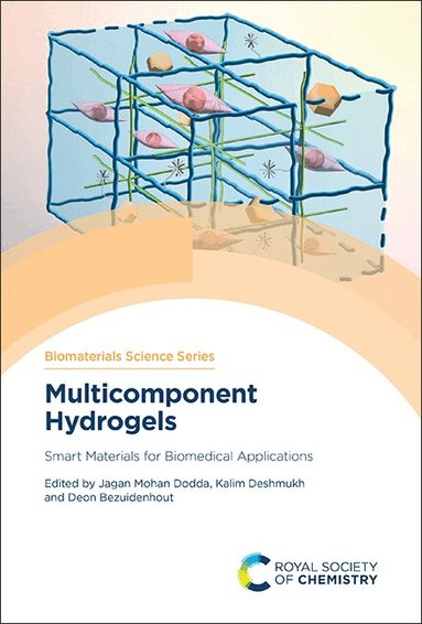 Jagan Mohan Dodda, Kalim Deshmukh, Deon Bezuidenhout - Multicomponent Hydrogels, Inbunden