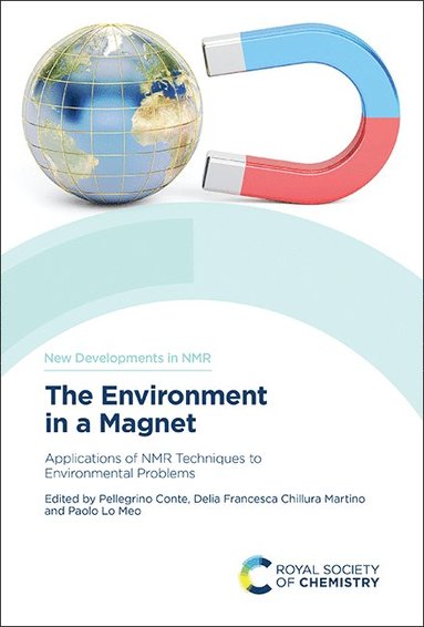 bokomslag Environment in a Magnet