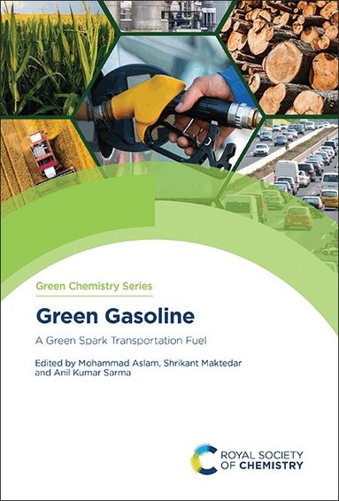 Mohammad Aslam, Shrikant Maktedar, Anil Kumar Sarma - Green Gasoline, Inbunden