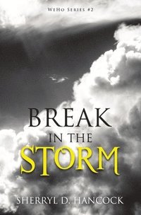 bokomslag Break in the Storm