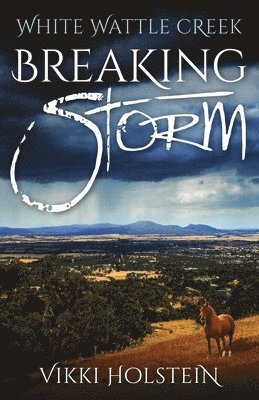 Vikki Holstein - Breaking Storm, Häftad