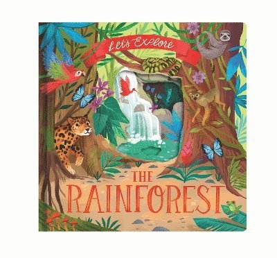 Let'S Explore the Rainforest 1