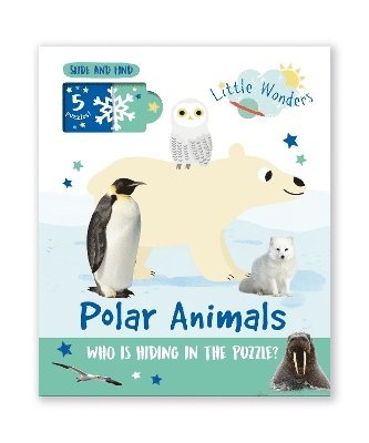 bokomslag Polar Animals