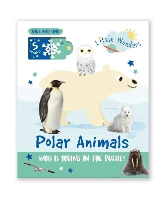 Polar Animals 1