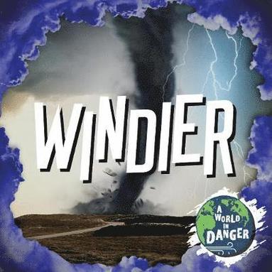 bokomslag Windier