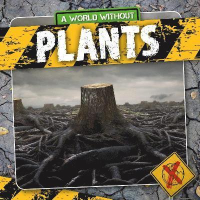 Plants 1