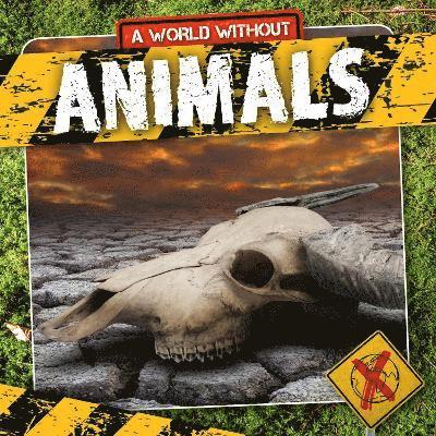 Animals 1
