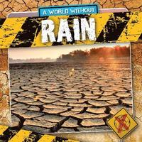 bokomslag Rain