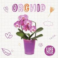 bokomslag Orchid