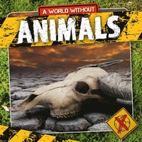 bokomslag Animals