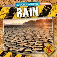 bokomslag Rain