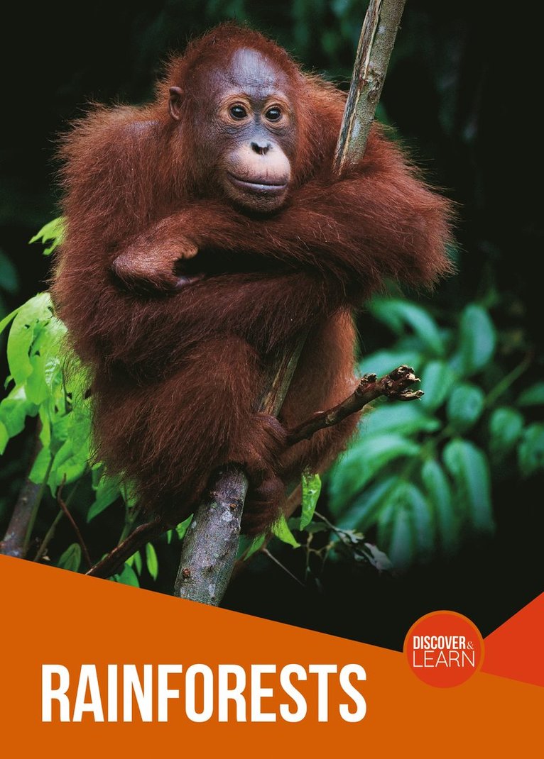 Rainforests