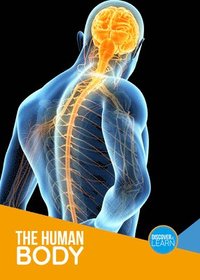 bokomslag Human Body