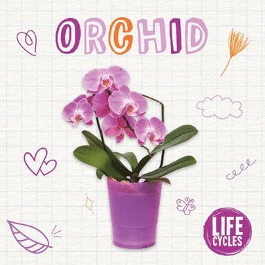 bokomslag Orchid