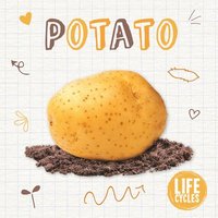 bokomslag Potato