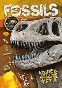 bokomslag Fossils